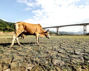 El Nino sắp xuất hiện, tác động đến mưa, nguồn nước ở Việt Nam thế nào?