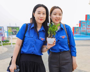 Hơn 600 người chung tay làm sạch bãi biển Đà Nẵng, đổi rác lấy cây xanh