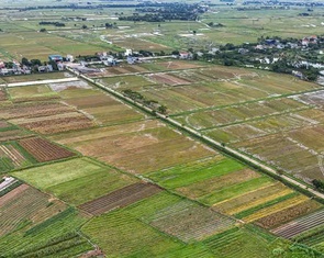 Đất nông nghiệp có nhà ở được bồi thường theo giá nào?