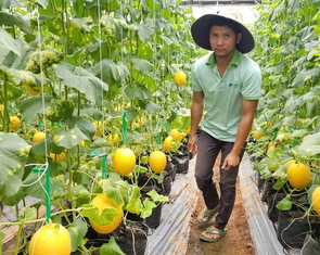 TP.HCM tổ chức cuộc thi đổi mới sáng tạo nông nghiệp, hỗ trợ tới 400 triệu đồng