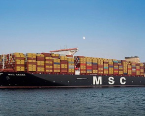 Đã có liên danh nộp hồ sơ đăng ký làm siêu cảng Cần Giờ 5 tỉ USD