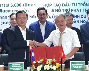Hoàng Anh Gia Lai đầu tư 5.000ha cà phê tại Lào