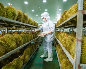 Danh sách mới nhất các phòng kiểm nghiệm Cadimi trong sầu riêng được Trung Quốc công nhận