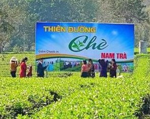 Từ 'chảo lửa, túi mưa' đến nông nghiệp kết hợp du lịch trải nghiệm tại Hà Tĩnh