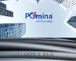 Báo cáo tài chính hé lộ 'mối quan hệ' giữa Vingroup và Pomina