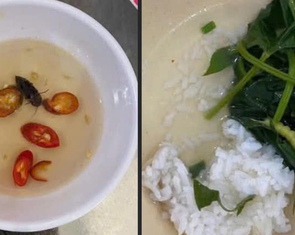 Xác minh thông tin thức ăn của sinh viên ở trung tâm giáo dục quốc phòng có dòi, gián và sâu