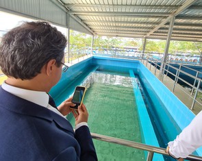 TP.HCM thành lập 5 công ty cấp nước công suất 800.000 m3/ngày đêm