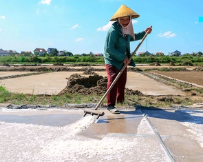 Mồ hôi mặn trên cánh đồng muối dưới chảo lửa 40 độ