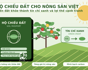 'Năm nay đất có khỏe không'?