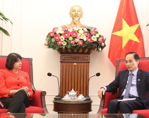 Anh hỗ trợ Việt Nam hút vốn tư nhân cho năng lượng sạch