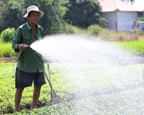 Dạy nhà nông nghệ thuật đặt câu hỏi cho AI