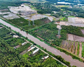Tin tức sáng 25-6: Bảy khu nông nghiệp công nghệ cao của TP.HCM nằm ở đâu?