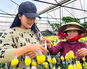 Nông nghiệp chữa lành