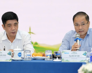 Khi châu Âu cần điều hòa, quạt máy, 'luật chơi xanh' cũng thay đổi