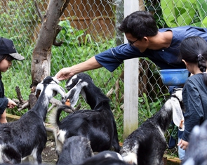 Không thể giao trẻ em cho mạng xã hội: Phát triển phiên bản dành cho trẻ em