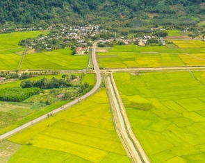 Cánh đồng của bà tôi và giấc mơ nông nghiệp không lãng phí