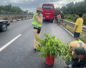 Xử phạt tài xế xe khách vì đặt cảnh báo cách xe chỉ 9,4m trên cao tốc Trung Lương - Mỹ Thuận