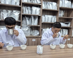 Cà phê Việt tăng tốc chế biến sâu từ lợi thế Robusta