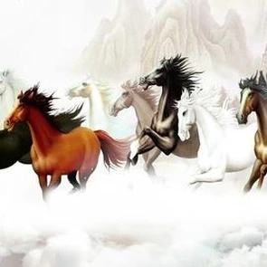 Vì sao 'Mã đáo thành công' thường đi cùng hình ảnh 8 chú ngựa?