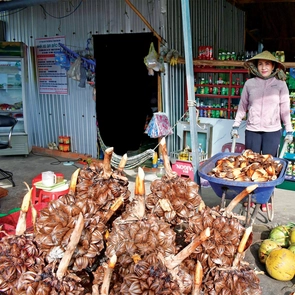 Những món ăn vặt siêu ngon làm từ dừa nước