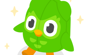 Cười ngất với ảnh chế linh vật Duolingo