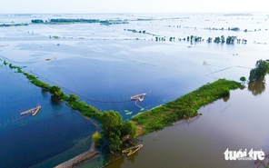 Tản văn Mực Tím: Thương con nước lên