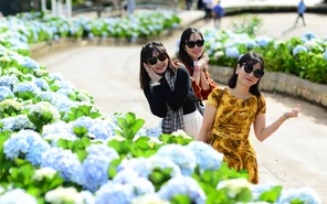Thời tiết hôm nay 16-10: Bắc Bộ giảm mưa, Nam Bộ chiều mưa to