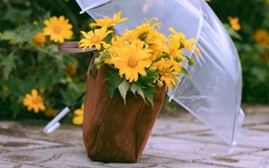 Gửi bạn 11 lời chào tháng 11 rực rỡ