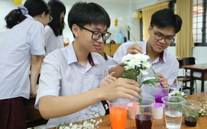 Học trò Trường Trung học Thực hành Đại học Sư phạm rủ nhau nhuộm hoa tặng thầy cô