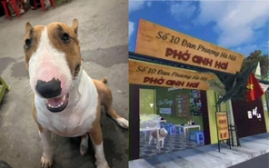 Cậu Vàng trong game Tiệm phở của anh Hai gây sốt mạng xã hội