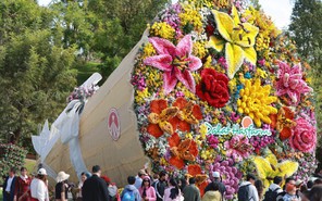 Đến Vườn hoa Đà Lạt check in cùng bó hoa tươi khổng lồ