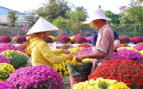 Hôm nay 27-12, khai mạc Festival hoa kiểng Sa Đéc mừng Tết Dương lịch 2026