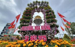 Cận cảnh không khí Festival hoa kiểng Sa Đéc lần thứ II trong ngày khai mạc