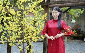 12 status ý nghĩa chào năm mới 2026 rực rỡ