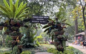 Hơn 30 ý tưởng gửi gắm yêu thương đến Thảo cầm viên Sài Gòn