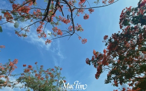 Gửi bạn 10 lời chào tháng 5 ý nghĩa