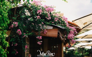 6 điểm chụp ảnh mùa hè đẹp nhất ở TP Gò Công, Tiền Giang