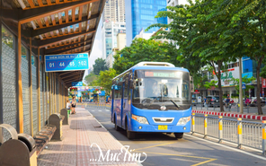 Thanh toán không tiền mặt, đi xe buýt miễn phí ngày 16-6