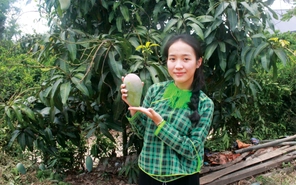 Tri thức là vốn quý, khó mấy cũng phải tìm