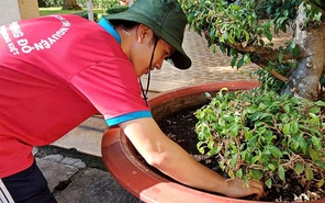 Chiến sĩ Hoa phượng đỏ lan tỏa phong trào bình dân học vụ số