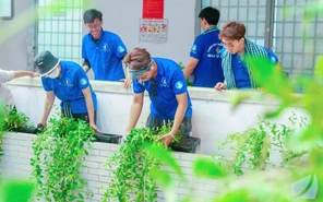 Bức rèm xanh bất ngờ xuất hiện tại Trường đại học Khoa học Tự nhiên TP.HCM