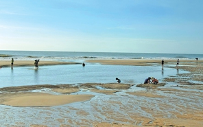Kinh nghiệm đi chơi ở làng chài Phước Hải và núi Minh Đạm