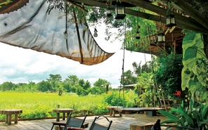Đến xã Đất Đỏ chill bên cánh đồng, ăn bánh mì nhà nội