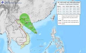 Dự báo đường đi của áp thấp nhiệt đới