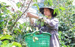 Gương mặt học bổng Vì tương lai Việt Nam: Con cứ yên tâm học, mọi chuyện để cha lo!