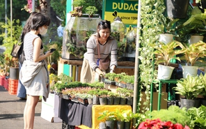 Đến Thảo cầm viên Sài Gòn nghe lá hoa kể chuyện