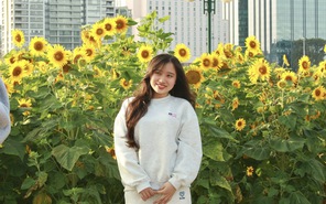 Vườn hoa hướng dương rực vàng bên bờ sông Sài Gòn, hút khách check in