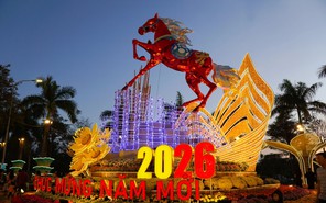 Ngựa đỏ tung vó, ngựa kéo xe hoa tại Đắk Lắk hút khách tham quan