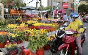 Chợ hoa giáp Tết Cần Thơ: Giá cả ổn định, tấp nập người ghé mua