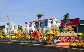 Linh vật bạch mã ở Bình Kiến, Đắk Lắk gây ấn tượng